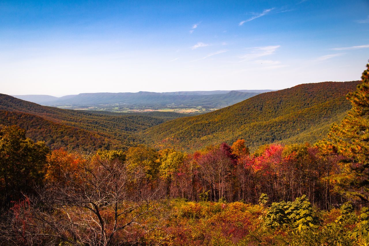 Virginia scenery representing Caroline County real estate