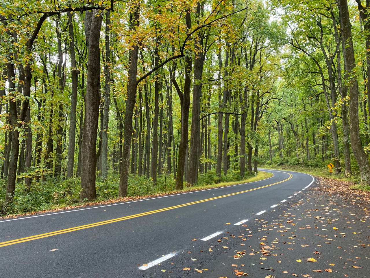 Virginia scenery representing New Kent County real estate